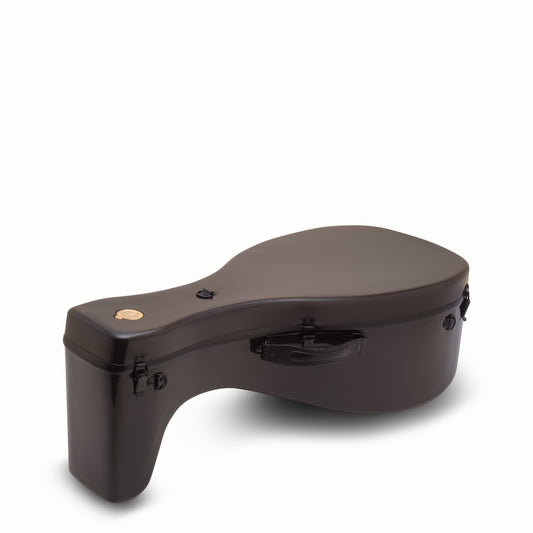 Étui LLD® FG-R pour luth Renaissance