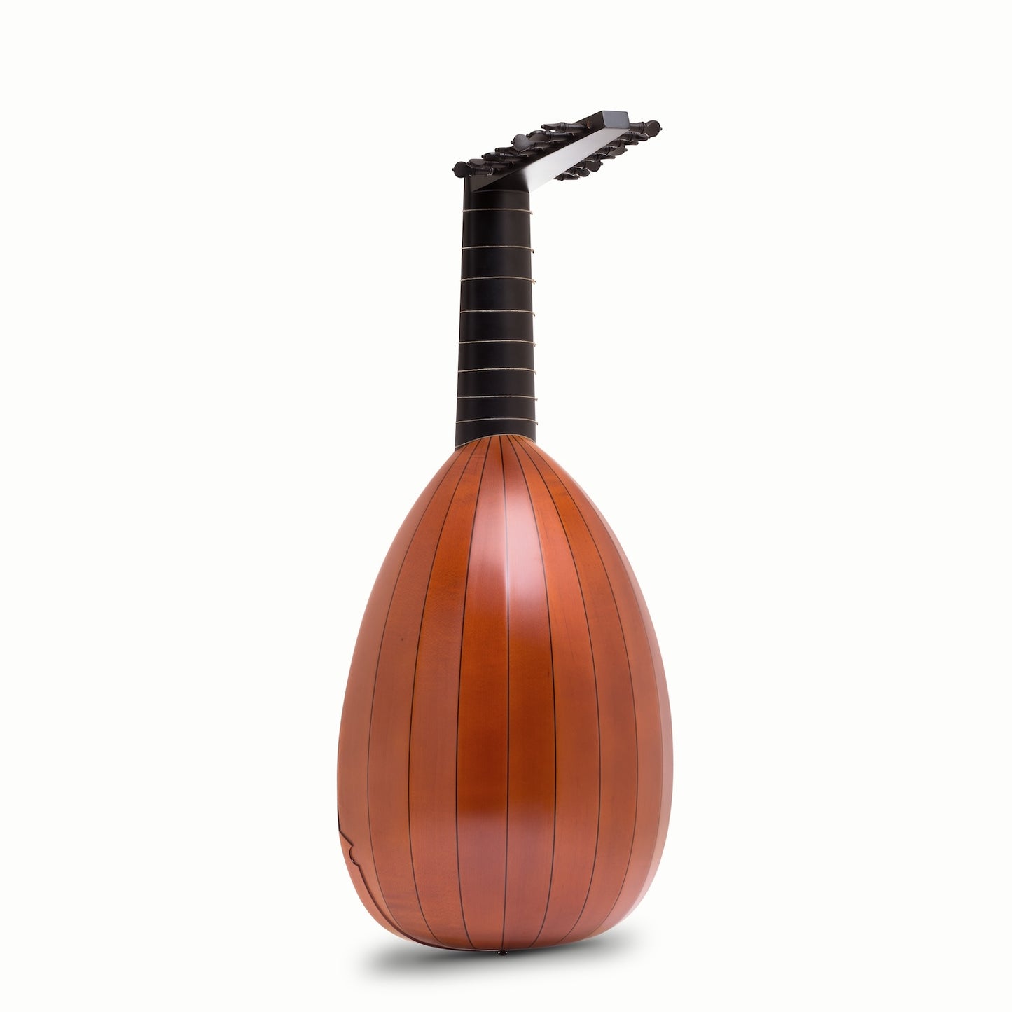 Renaissance Lute 8c LLD® Molinaro